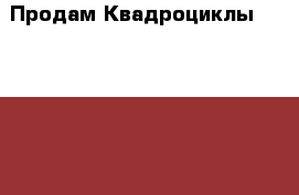 Продам Квадроциклы Linhai-Yamaha D 200 2017 года › Производитель ­  Linhai Yamaha › Модель ­ D 200 › Объем двигателя ­ 200 › Общий пробег ­ 1 › Цена ­ 130 000 - Все города Авто » Мото   . Адыгея респ.,Адыгейск г.